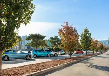 Cars parking on a street
