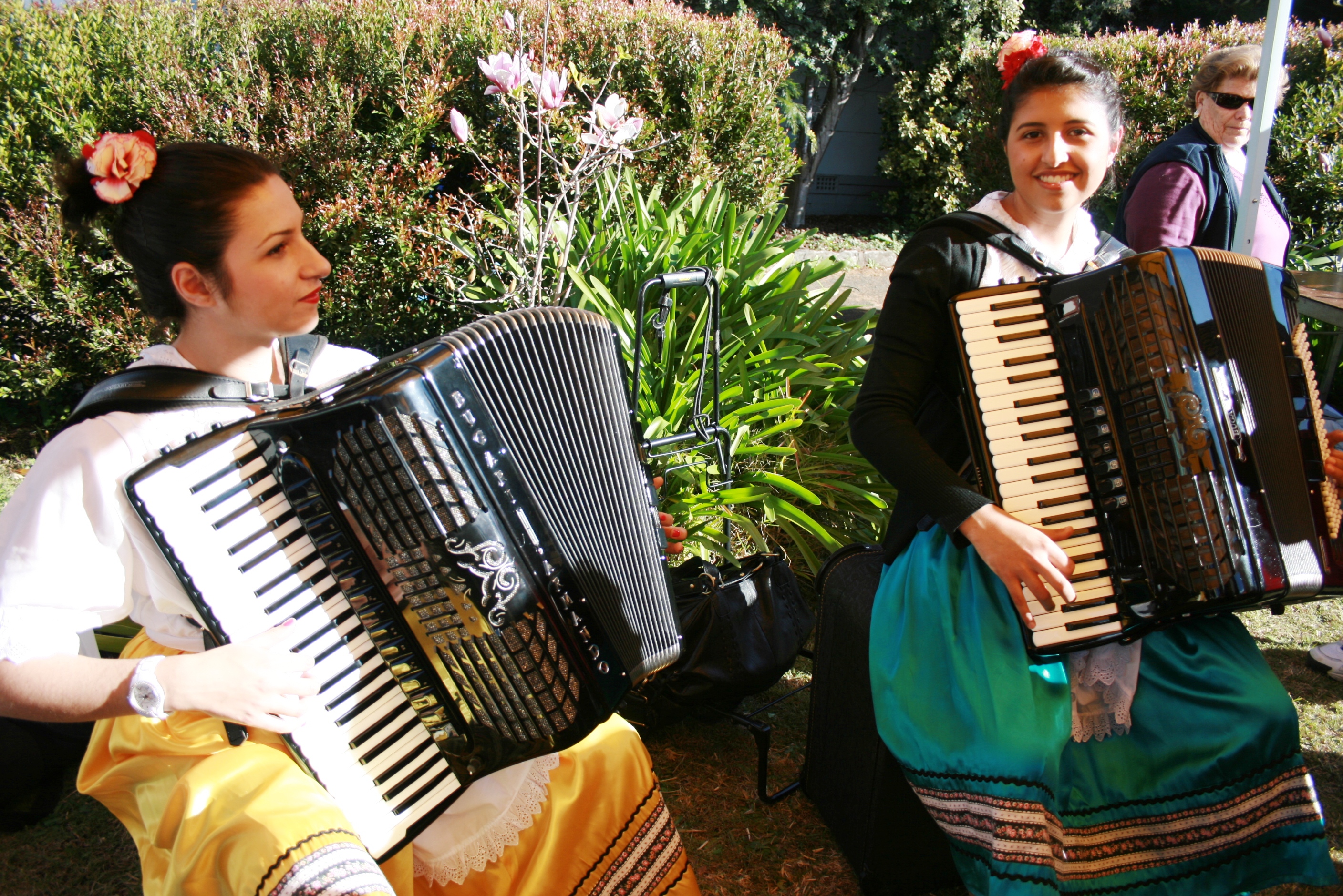 Performers playing the accordian