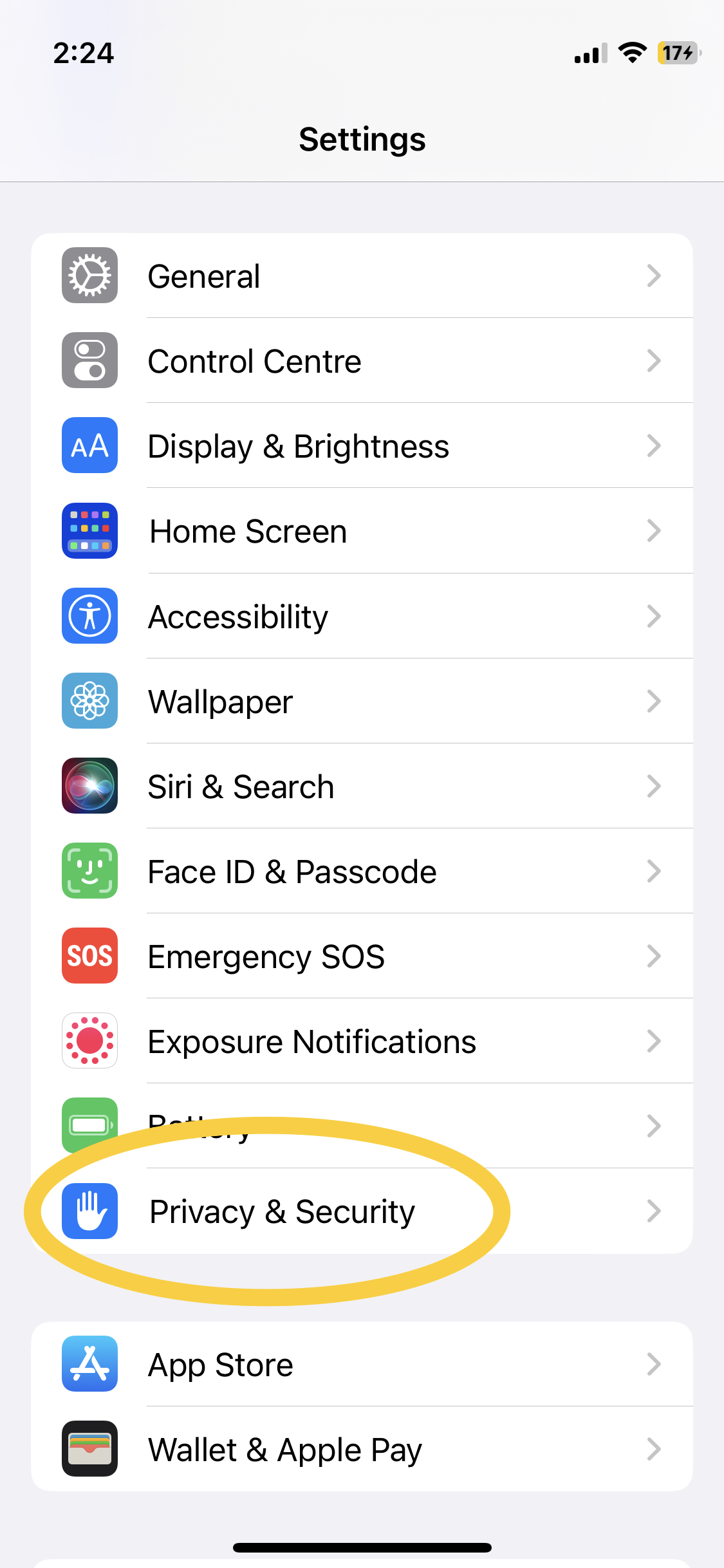 IPhone screenshot showing Privacy & Security