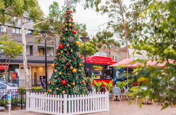 Photo of Christmas tree in Concord