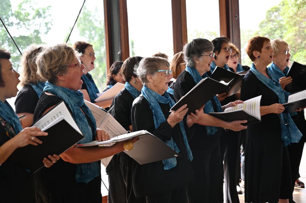 Seniors Festival: Music and Morning Tea