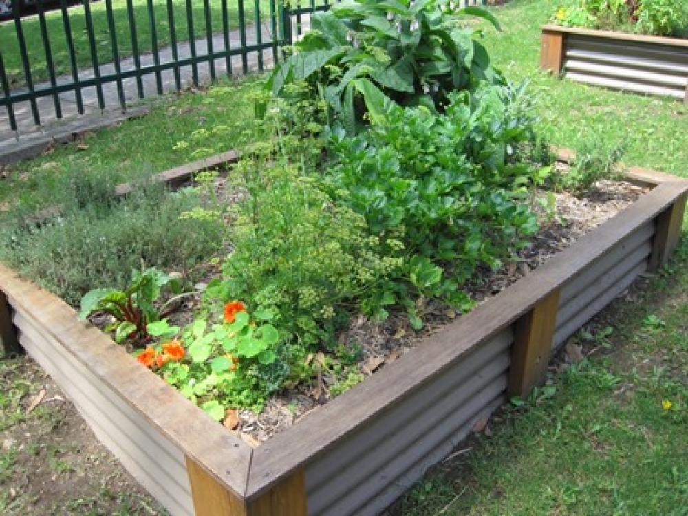 Waterwise Gardening | City of Canada Bay Council