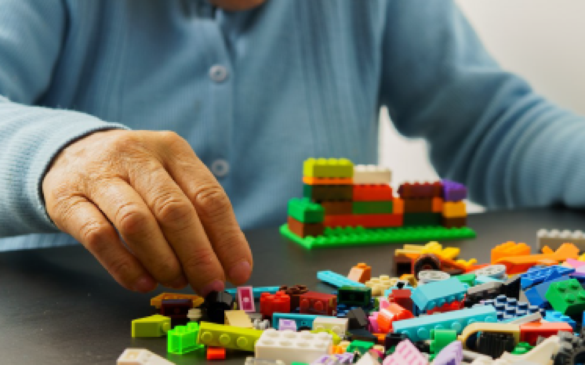 Lego Serious Play - Companions Connect for Seniors