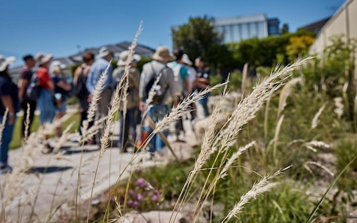 Seniors Festival: Walk on Wangal Nature Trail Guided Tour